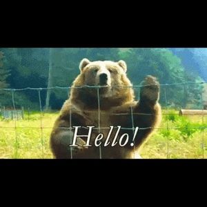 Meet your Posher, Donna m